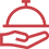 Icône services premium